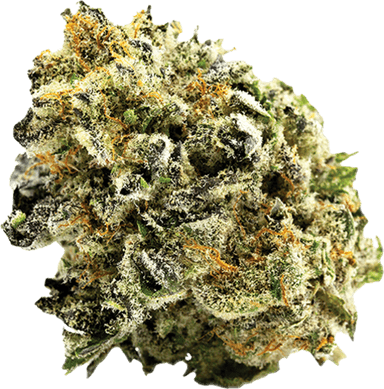 Grape Punch